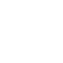Programas de Cidadania Fiscal (1)